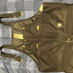 Carhartt arctic bibs r33 2025